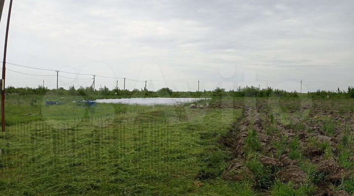 Участок 10 сот. (ИЖС)