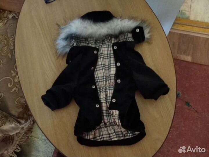 Курточка для мелких собачек