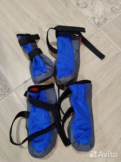 Обувь для собак крупных пород