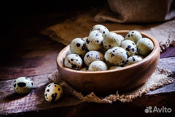 Яйца перепелиные пищевое и инкубационное