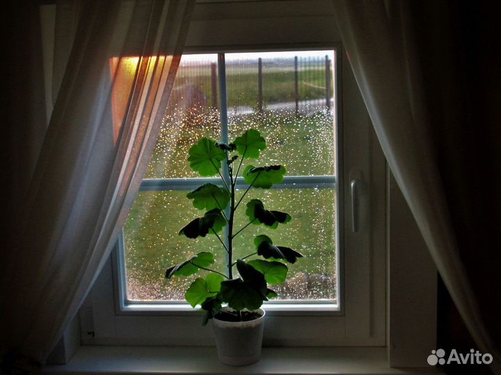 Окно пластиковое на дачу