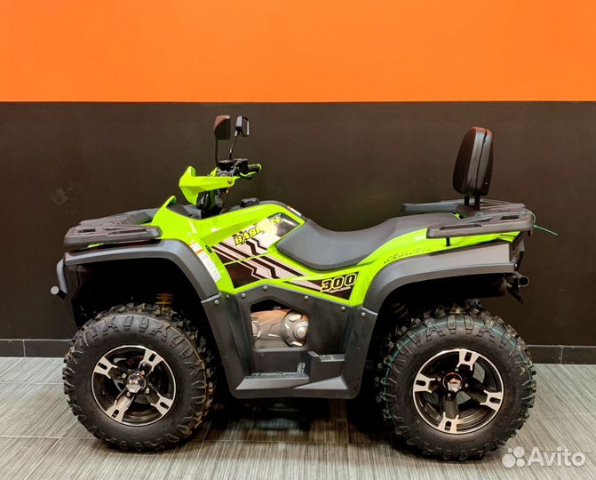 Квадроцикл Bashan Explorer 300