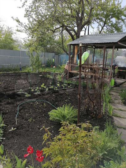 Дача 20 м² на участке 4,5 сот.