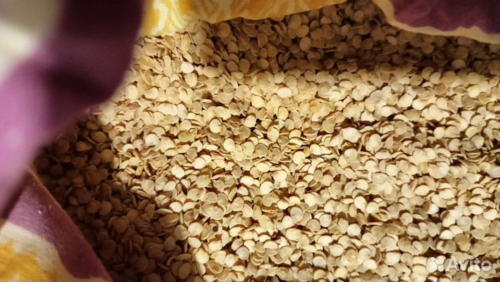 Семена сладкого перца 