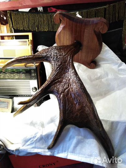 Рога лося. Продаю