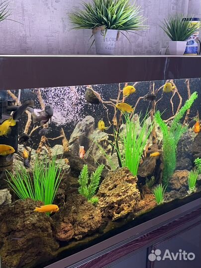 Украшение для аквариума