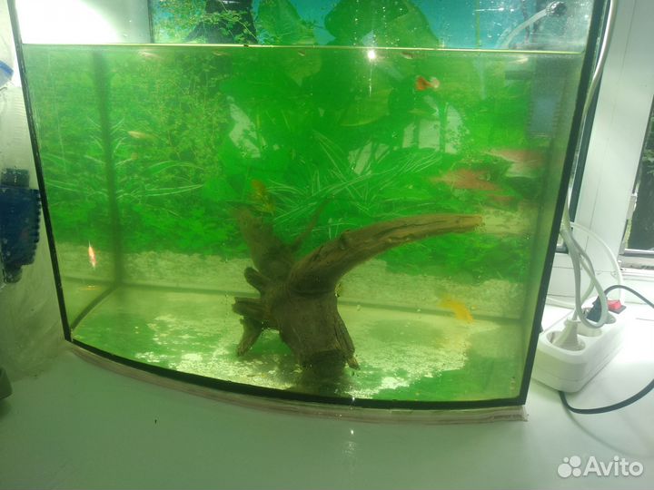 Украшение для аквариума