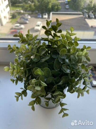 Искусственное растение Икеа Фейка