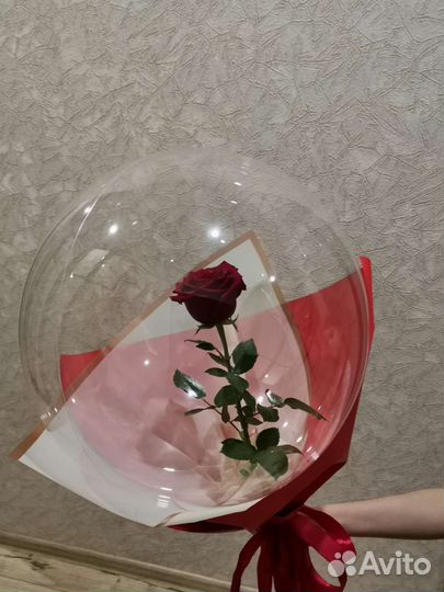 Живые цветы в шаре
