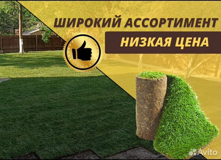 Рулонный газон под ключ Элитный