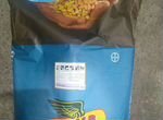 Семена кукурузы Bayer