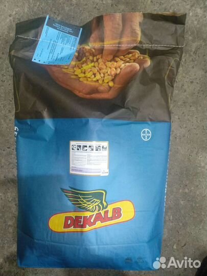 Семена кукурузы Bayer