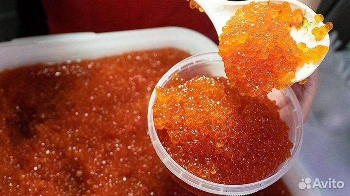 Икра Лососевая 2023 Путина Свежак