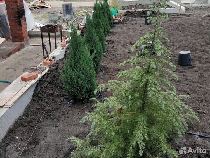 Монтаж автополива, автополив под ключ, озеленение