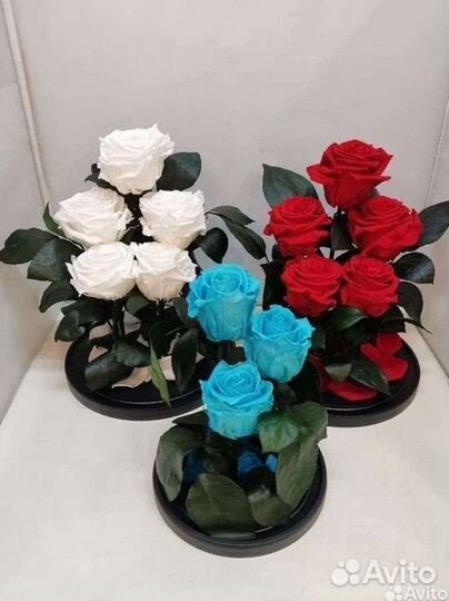 Роза в колбе оптом