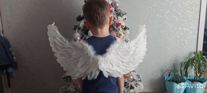 Крылья ангела в прокат