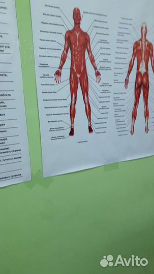 Массажист мануальный терапевт