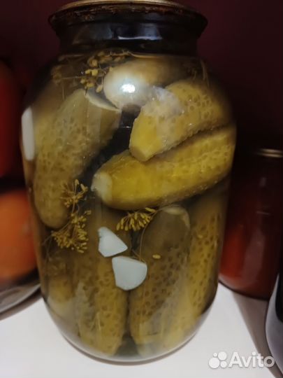 Соленья домашние