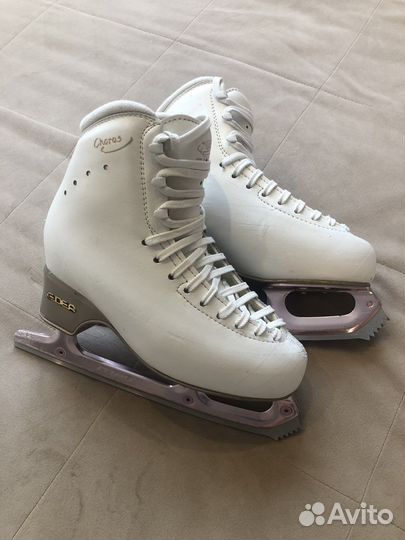 Коньки фигурные Edea Chorus 230