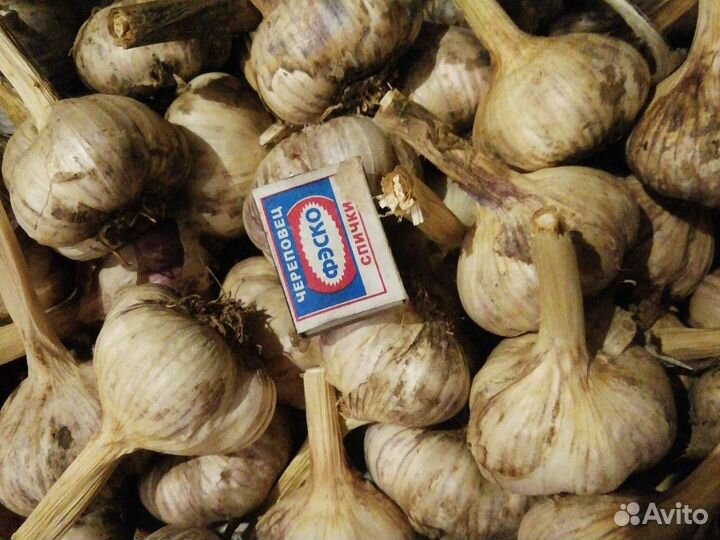 Продам картофель