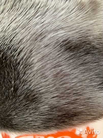 Меховая мужская кепка