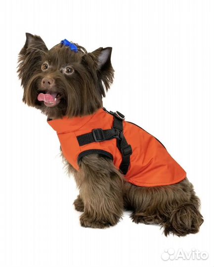 Новая жилетка для собаки средней породы