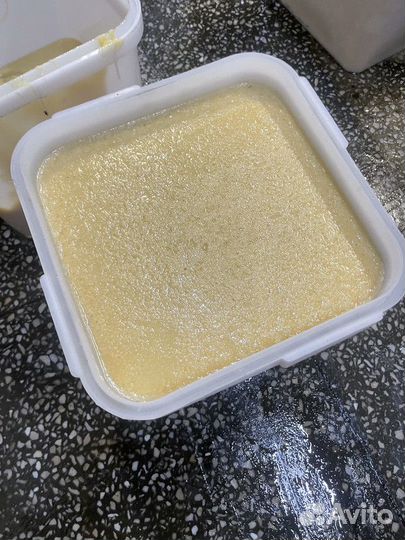 Свежий мед липовый оптом