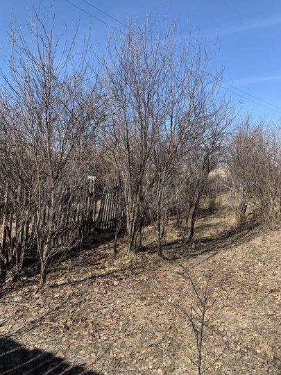 Участок 18 сот. (ИЖС)