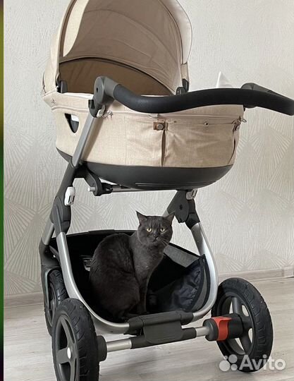 Коляска stokke trailz 2 в 1