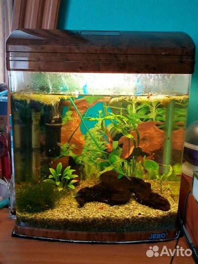 Аквариум