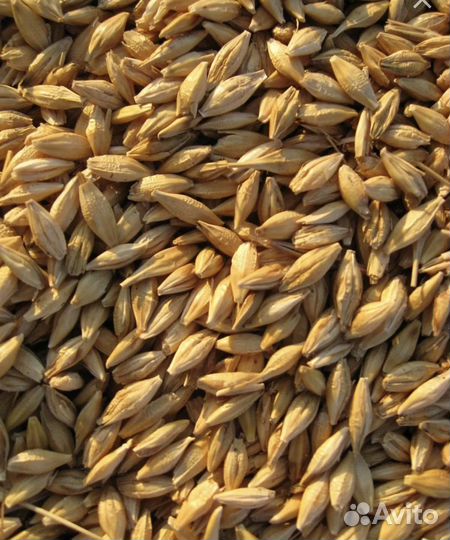 Зерноотходы, комбикорм