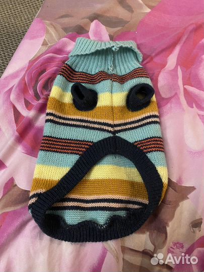 Одежда для маленьких пород собак