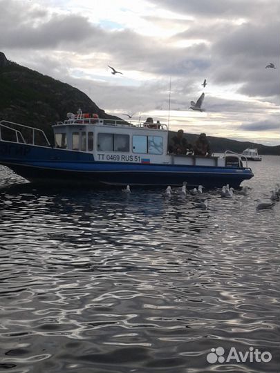 Морская рыбалка, киты,экскурсии