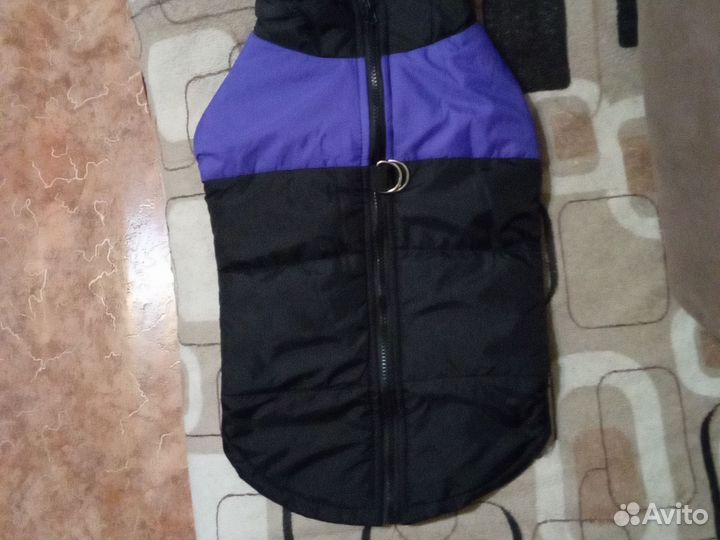 Одежда для собак