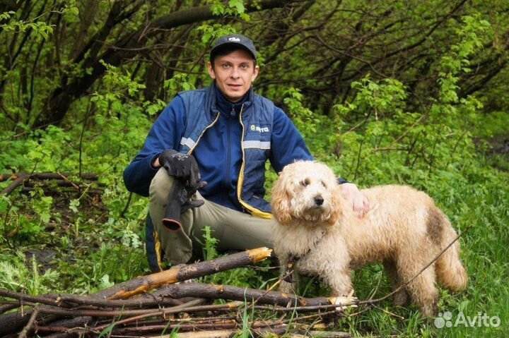 Монтаж видеонаблюдения, охр. сигнализации