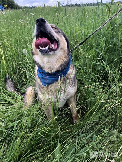 Машуня угосает в вольере