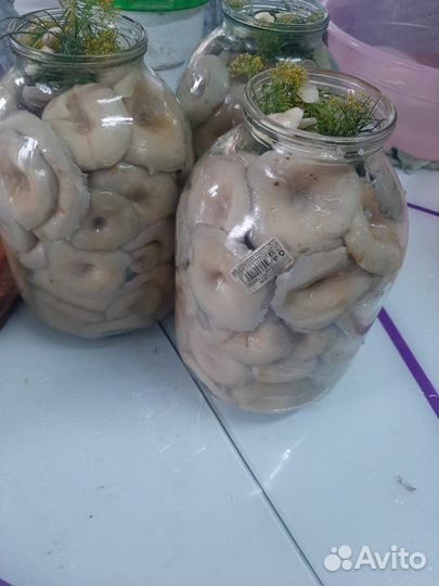 Продам грибы грузди