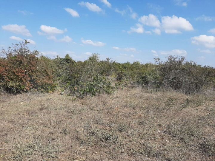 Участок 5 га (СНТ, ДНП)