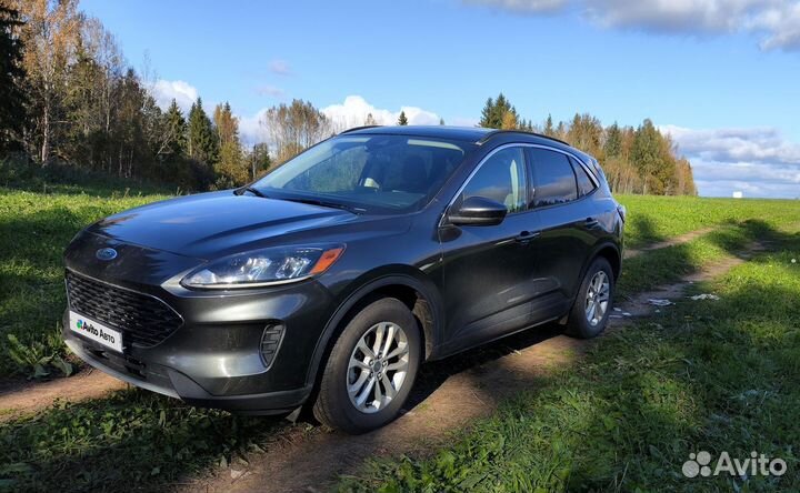 Ford Escape 1.5 AT, 2020, 58 500 км
