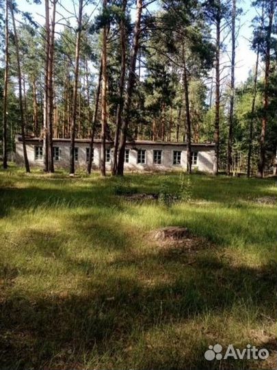 Детский оздоровительный лагерь