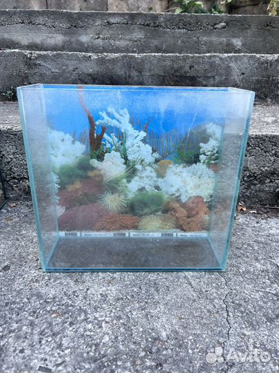 Аквариум 20 литров