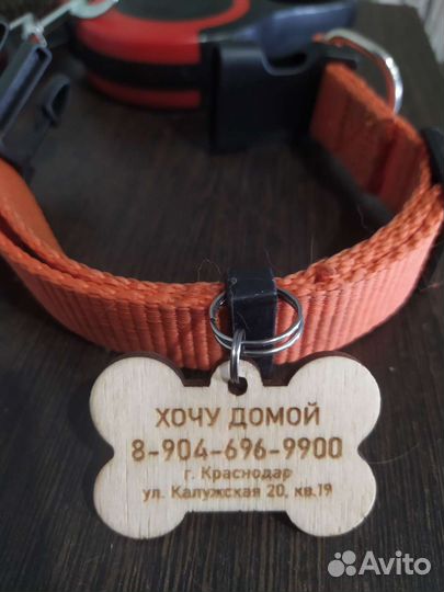 Жетоны для собак и кошек именные под заказ