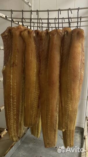 Сом (копчения)