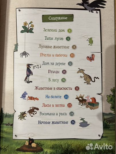 Петсон и Финдус