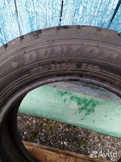 Dunlop SP Winter Maxx WM01 175/65 R14