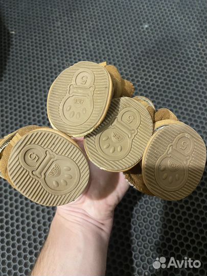 Зимние ботинки для собак и ошейник