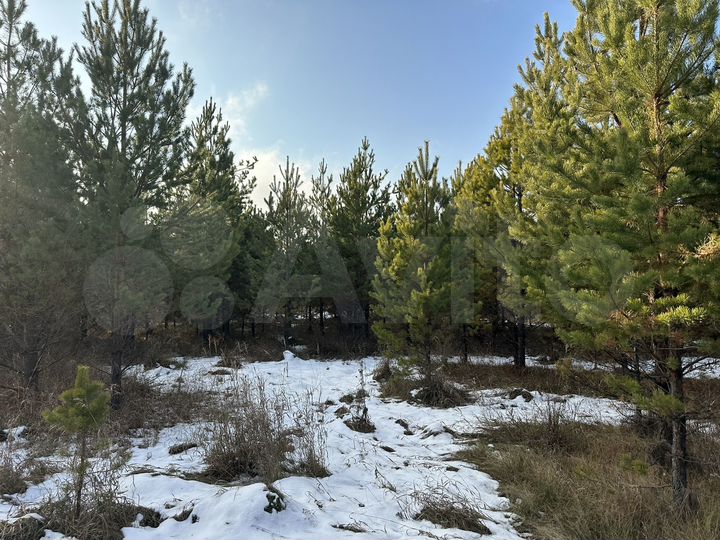 Участок 4 га (СНТ, ДНП)