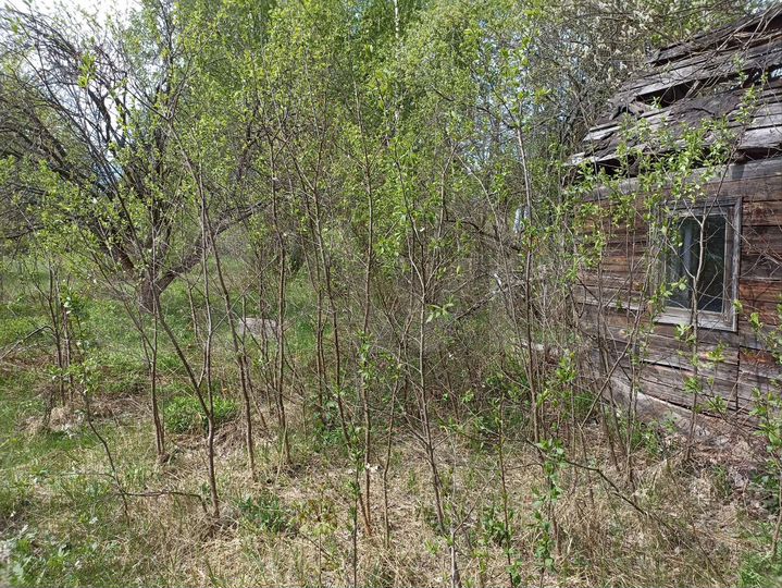 Участок 13 сот. (СНТ, ДНП)