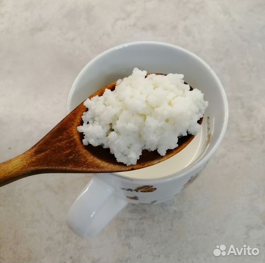 Тибетский молочный гриб