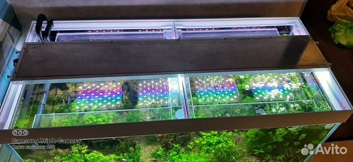 Продам аквариум